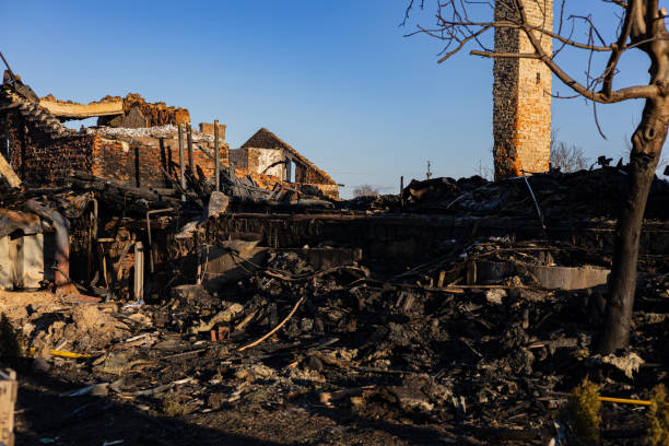 Reliable Content Restoration contractor in Victoria, MN by Fire Damage Laser Cleaning